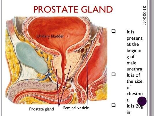 Medical Drawings