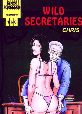 Wild Secretaries