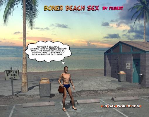 Sexo en la playa con erección