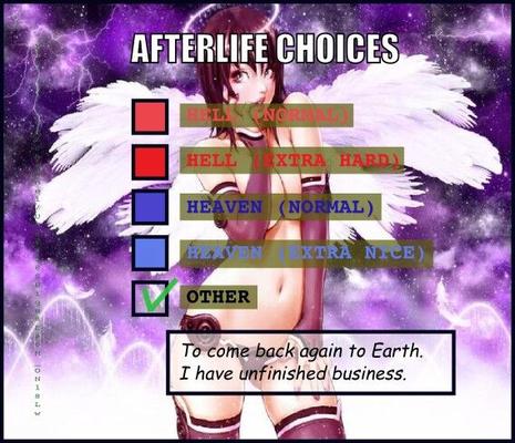 Afterlife choices