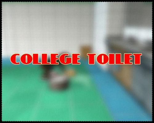 Toilettes du collège