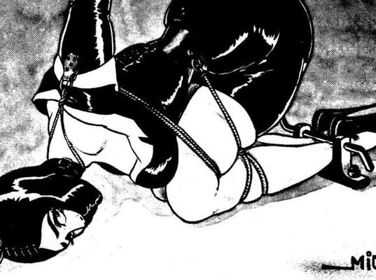 femdom / BDSM artworks