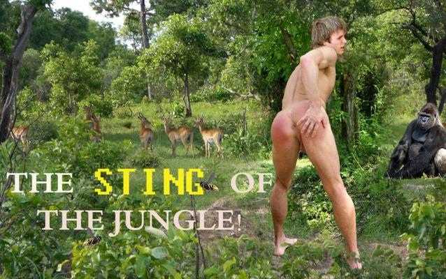 THE STING OF THE JUNGLE POOR BABY