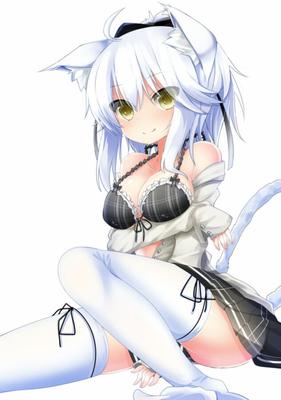 Neko Anime Filles VI