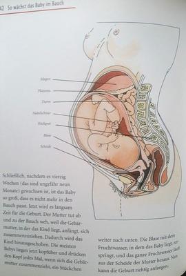 Aufklaerung heute / сексуальное воспитание сегодня