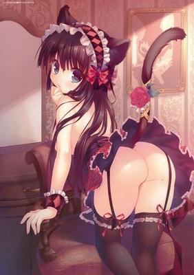 Neko Anime Filles IV