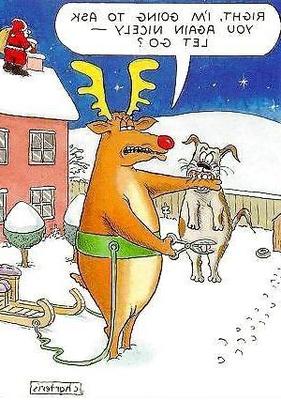 Christmas humour.????