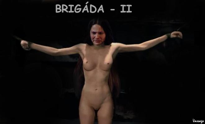 brigáda（）